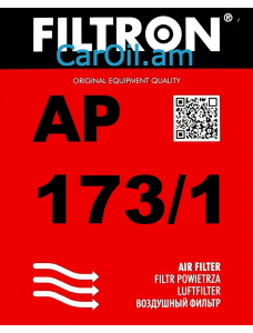 Filtron AP 173/1